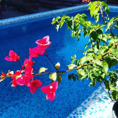 Hostal Guesthouse Staraya Matsesta