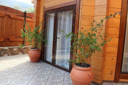 Hostal Guesthouse Staraya Matsesta