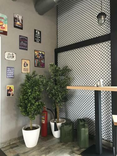 Greenstop Hostel