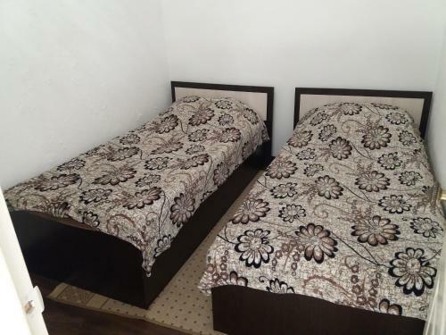 Apartment Alfa 1
