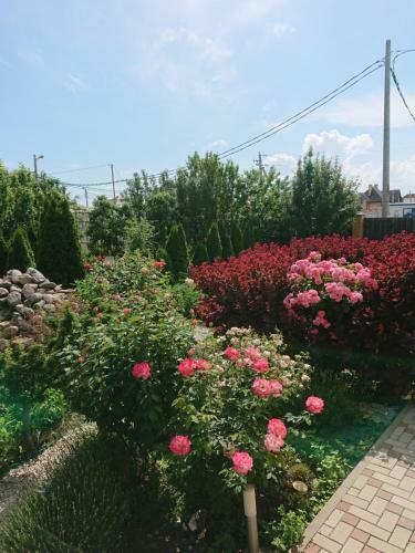Hotel Villa Of Roses