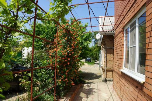 Hostal Guest House Ksenia