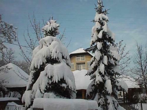 Hostal Guesthouse Zorko Gostilna Domen