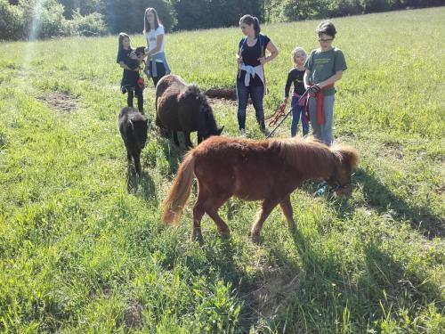 Hostal Guesthouse Zorko Gostilna Domen