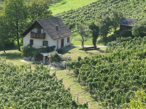 Hostal Guesthouse Zorko Gostilna Domen