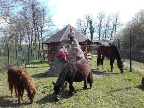 Hostal Guesthouse Zorko Gostilna Domen