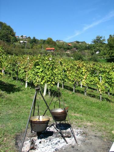 Hostal Guesthouse Zorko Gostilna Domen