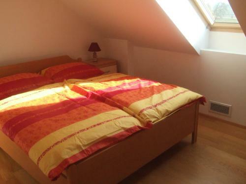 Apartments Vila Jurka