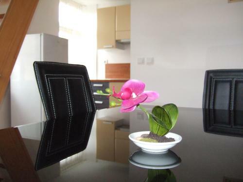 Apartments Vila Jurka