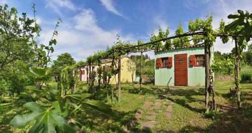 Camping Slovenia Istria