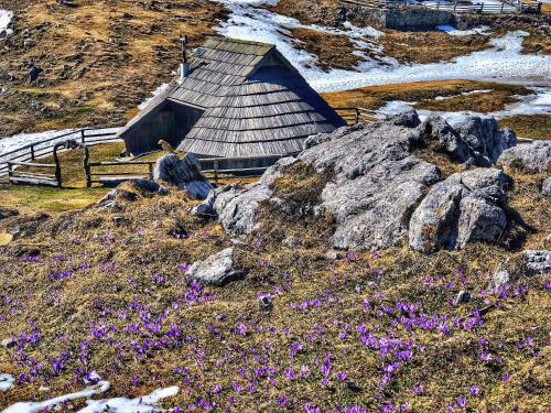 Chalet Ko?utnik Velika Planina