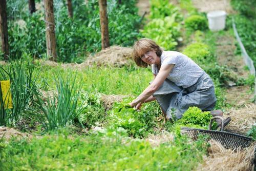 Agroturismo Turisti?na Kmetija ?eruga