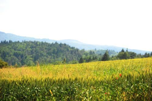 Agroturismo Turisti?na Kmetija ?eruga