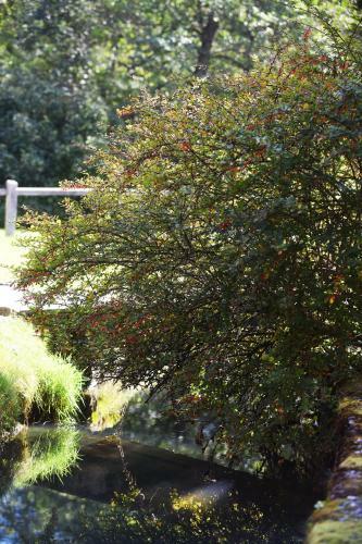 Agroturismo Turisti?na Kmetija ?eruga