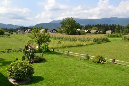 Bed & Breakfast Apartments Tabor