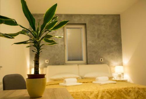 Apartments Vila Stella
