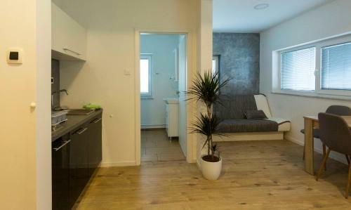 Apartments Vila Stella