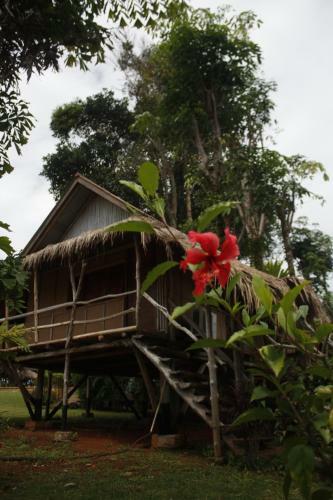 Hotel Bamboo Hideaway Resort