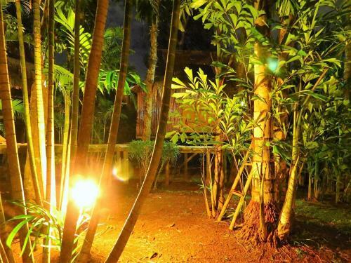 Hotel Bamboo Hideaway Resort