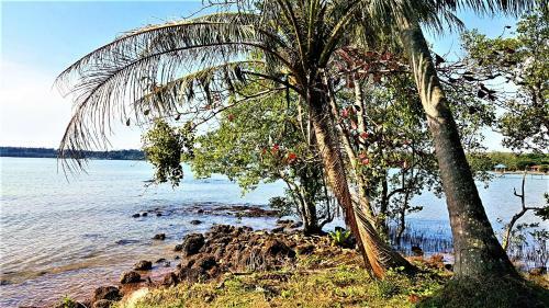 Hotel Bamboo Hideaway Resort