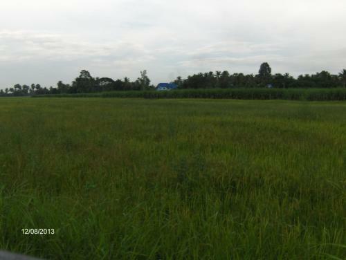 Singburi Homestay