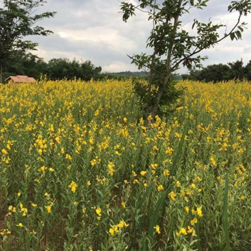 Agroturismo Coolliving Farmhouse Organic