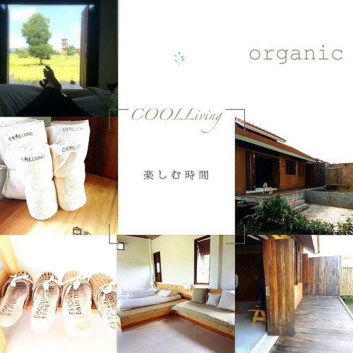 Agroturismo Coolliving Farmhouse Organic