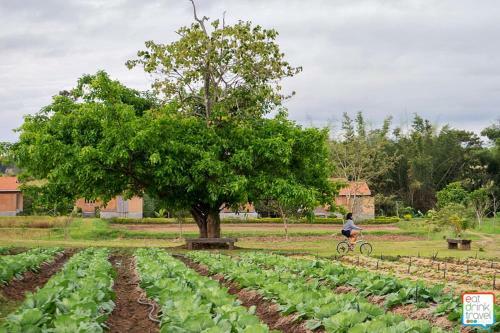 Agroturismo Coolliving Farmhouse Organic