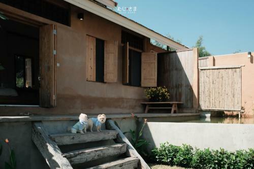 Agroturismo Coolliving Farmhouse Organic
