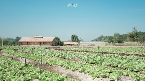 Agroturismo Coolliving Farmhouse Organic
