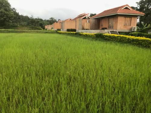 Agroturismo Coolliving Farmhouse Organic