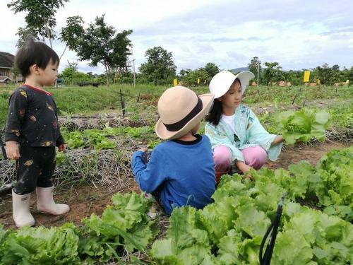 Agroturismo Coolliving Farmhouse Organic