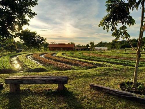 Agroturismo Coolliving Farmhouse Organic