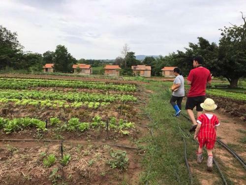 Agroturismo Coolliving Farmhouse Organic