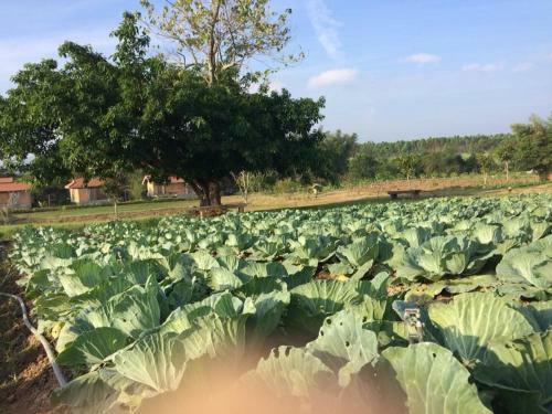 Agroturismo Coolliving Farmhouse Organic