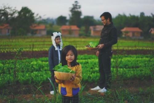Agroturismo Coolliving Farmhouse Organic