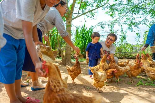 Agroturismo Coolliving Farmhouse Organic