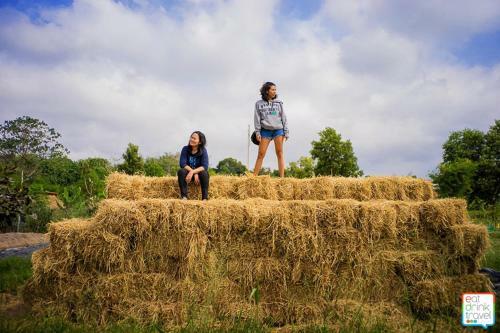 Agroturismo Coolliving Farmhouse Organic