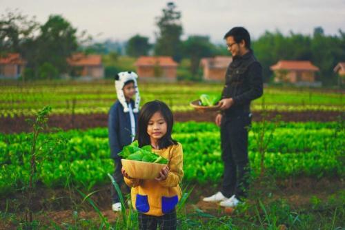 Agroturismo Coolliving Farmhouse Organic
