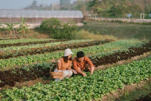 Agroturismo Coolliving Farmhouse Organic