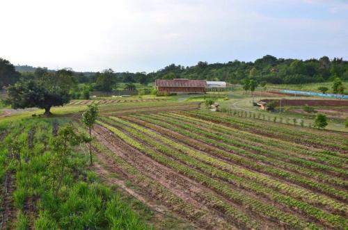 Agroturismo Coolliving Farmhouse Organic
