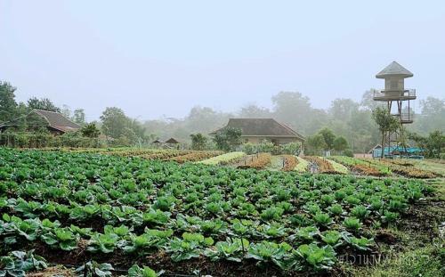 Agroturismo Coolliving Farmhouse Organic
