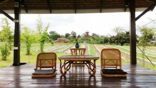 Agroturismo Coolliving Farmhouse Organic