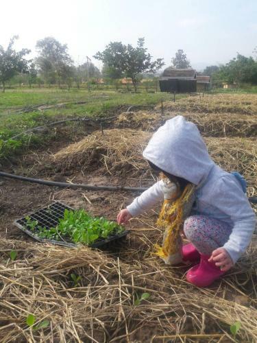 Agroturismo Coolliving Farmhouse Organic