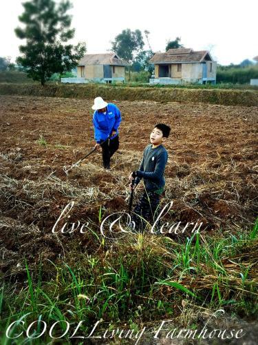 Agroturismo Coolliving Farmhouse Organic