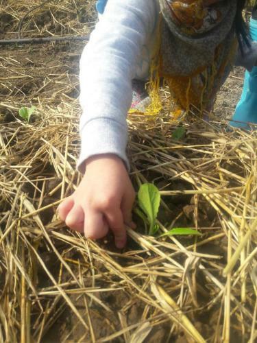 Agroturismo Coolliving Farmhouse Organic