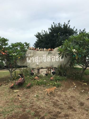 Hotel Pasuk Resort