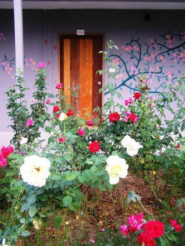 Hotel The Bloom