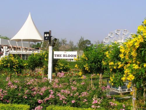 Hotel The Bloom