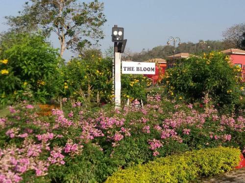 Hotel The Bloom